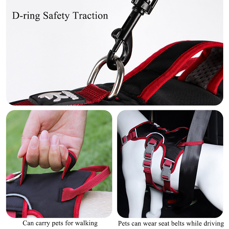 حزام صدر للكلاب مضاد للسحب للم - مراجعة D Ring Strap وسعره